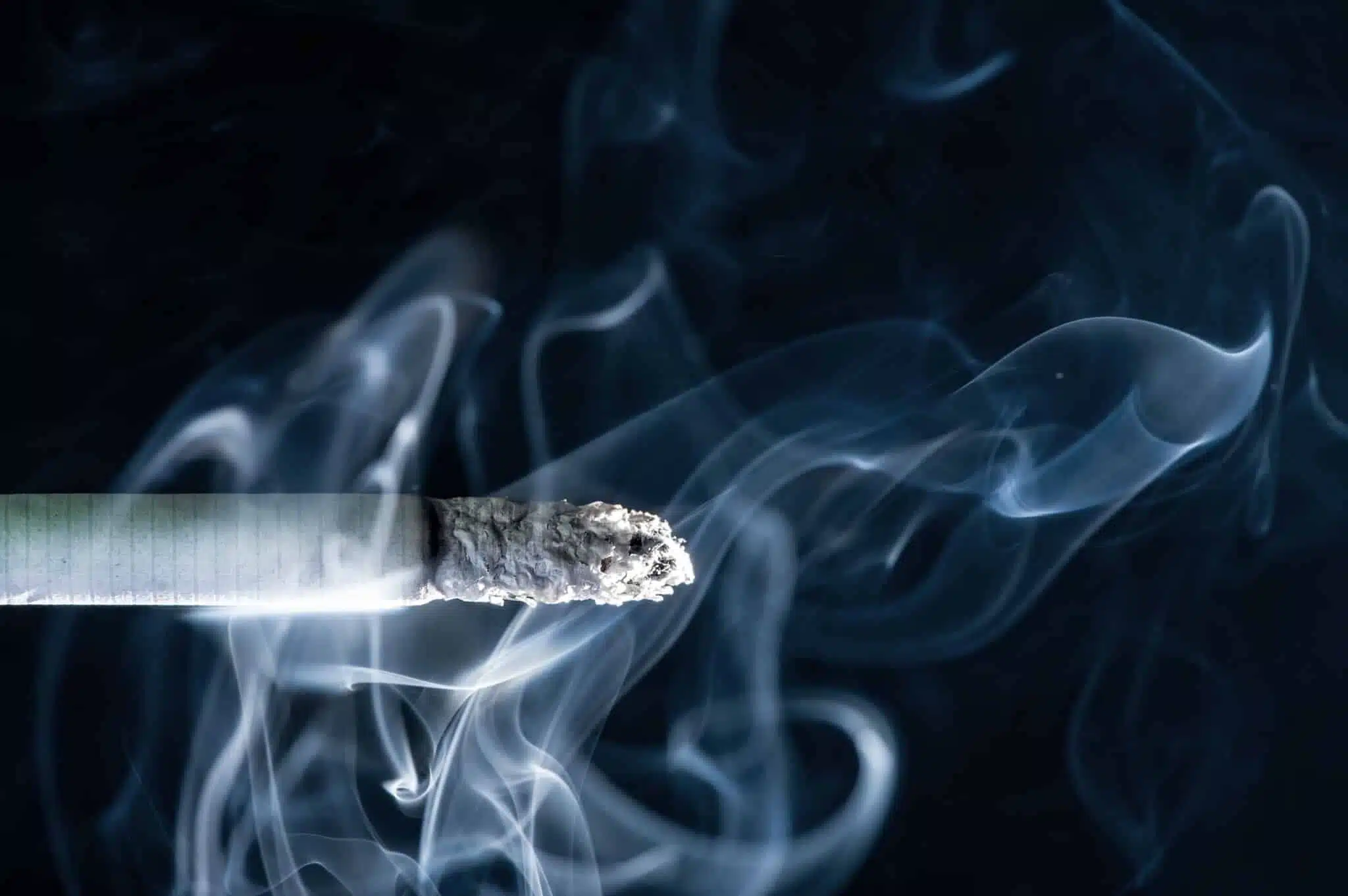 Smoking: The Facts …This might just take your breath away