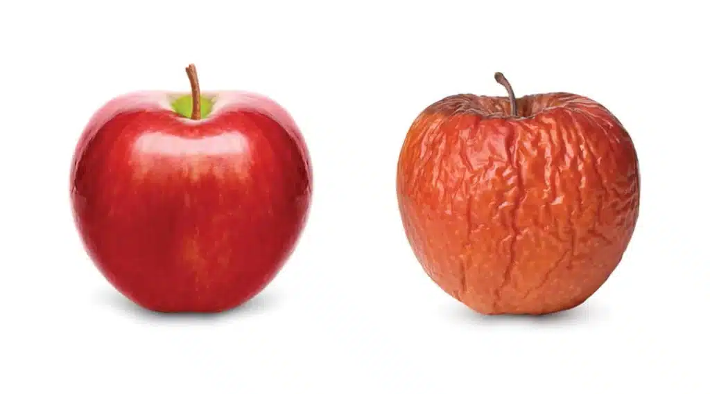 Apples depicting ageing