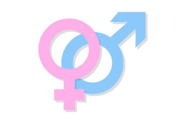 Hormone Replacement sex hormone replacement sex hormone