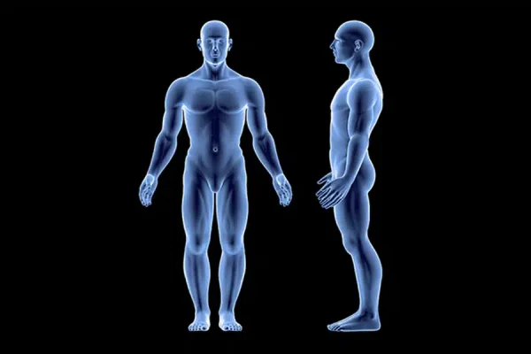 DSK_Male_Figure_Banner If you’ve ever wondered what these assessments involve or whether they’re worth it, you’re in the right place. Let’s break it down and explore how a comprehensive preventative health check can empower you to make informed decisions about your health.